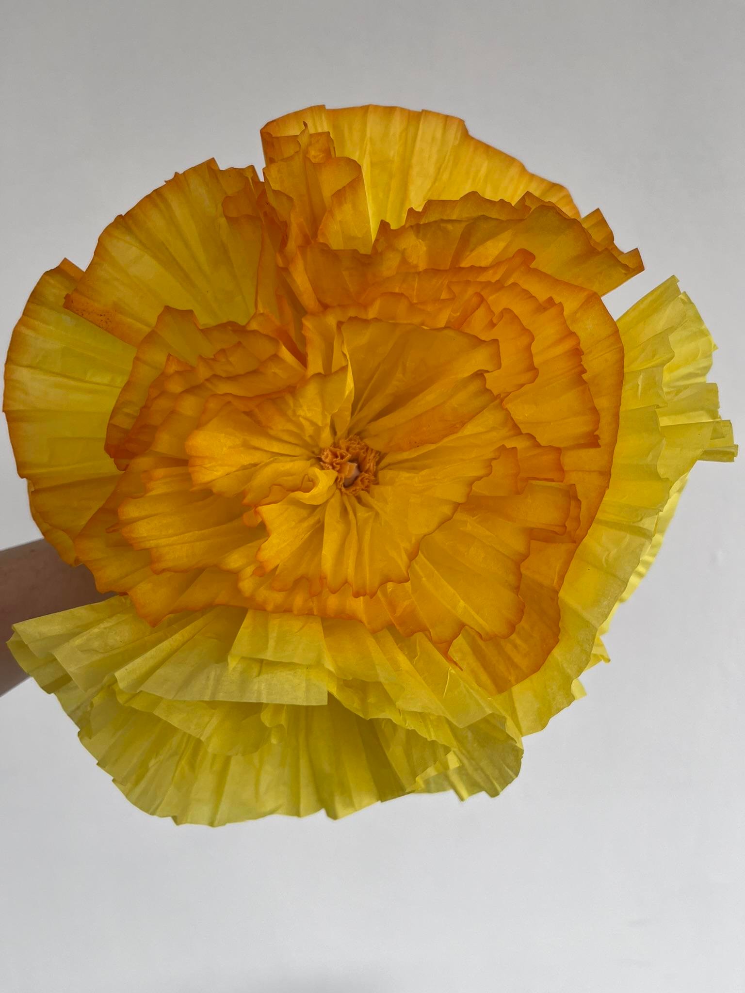 Hypnotic Sarı Poppy Buketi