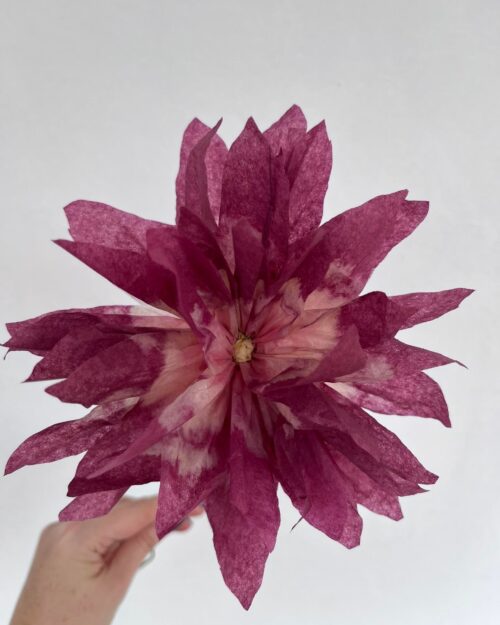 Purple Dahlia Buketi