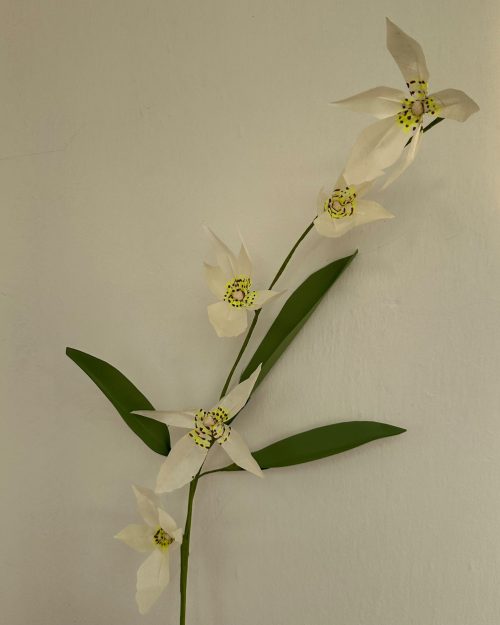 Wild Orchid – Yabani Orkide Dalı Kağıt Çiçek