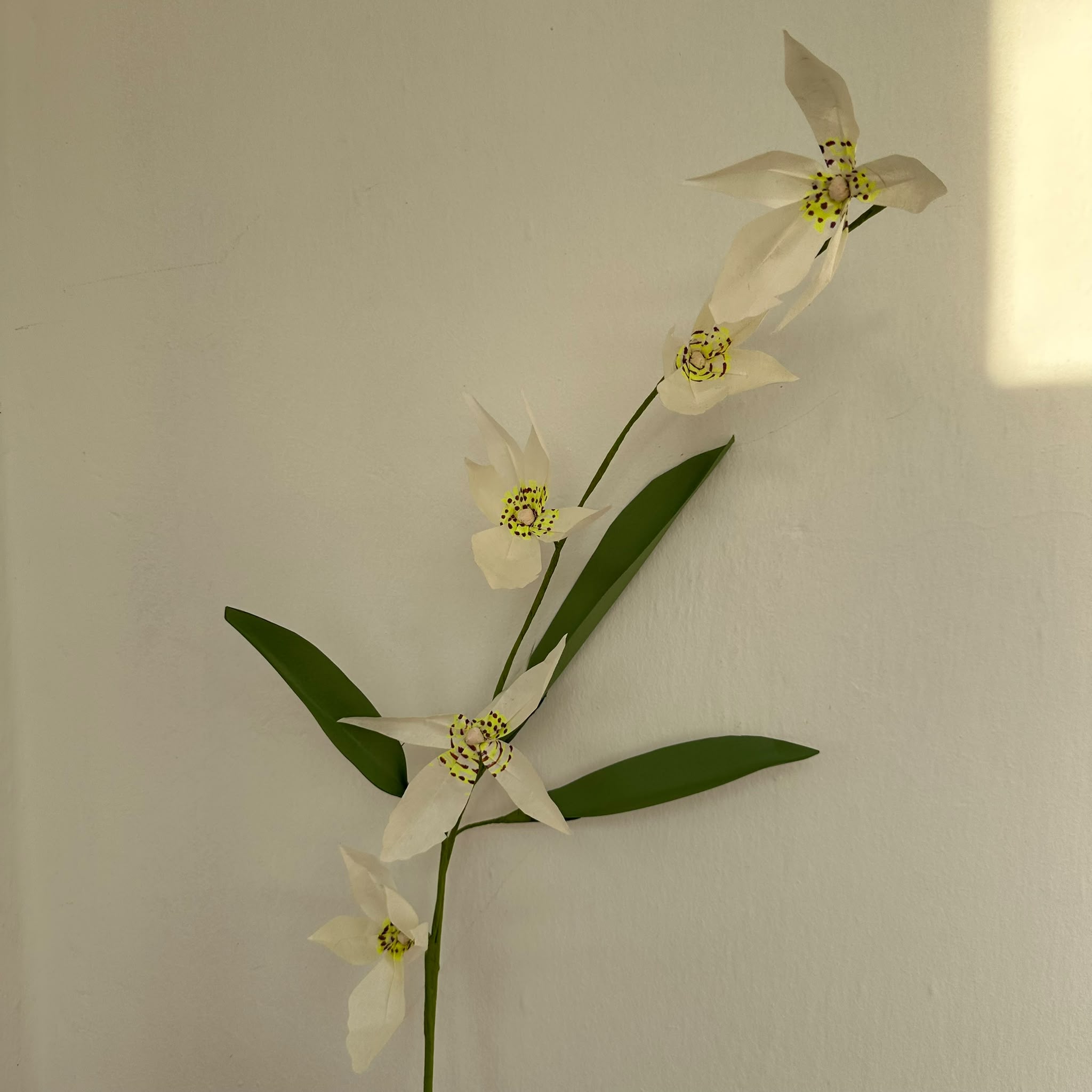 Wild Orchid – Yabani Orkide Dalı Kağıt Çiçek