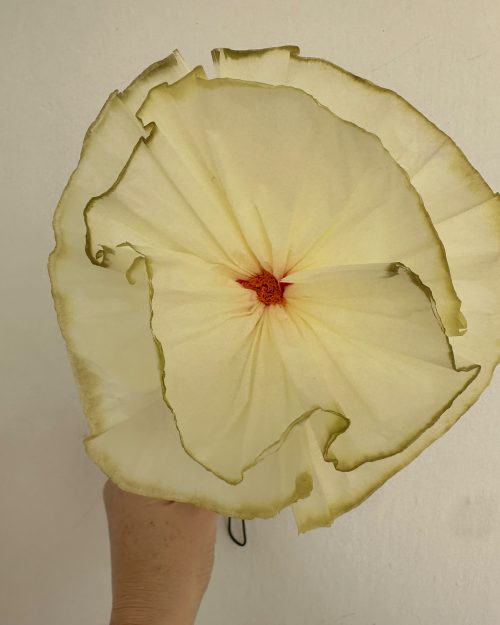 Hareli Poppy – Yumuşak Kenar Geçişli Gelincik Kağıt Çiçek