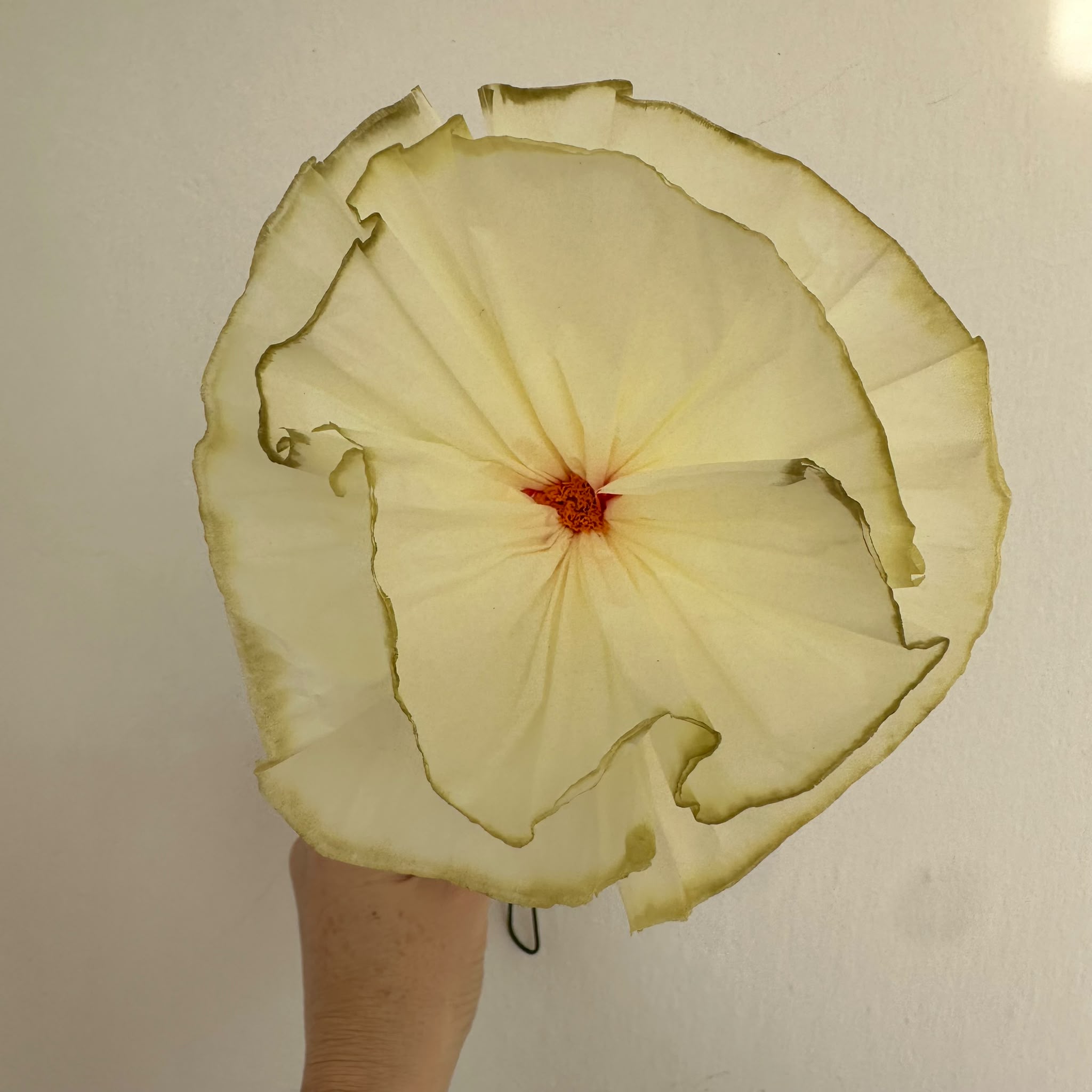 Hareli Poppy – Yumuşak Kenar Geçişli Gelincik Kağıt Çiçek